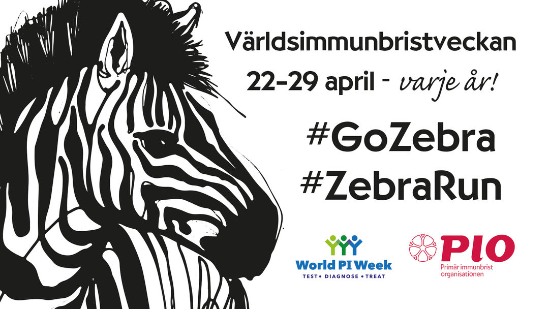 Världsimmunbristveckan 2023 #GoZebra #ZebraRun - 3 km