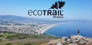 2020 Wicklow Trail Challenge 44k