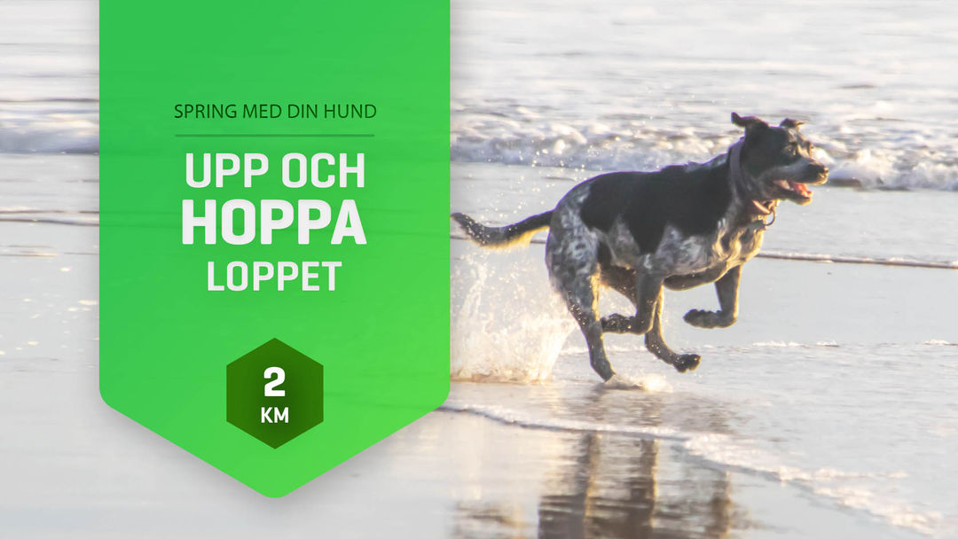 Upp & Hoppa-Loppet Sommar Grön 2km
