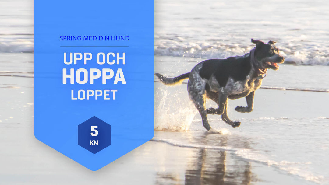Upp & Hoppa-Loppet Sommar Blå 5 km